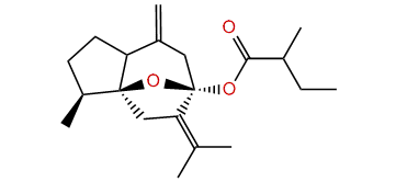 (Z)-gamma-Curcumyl 2-methylbutanoate